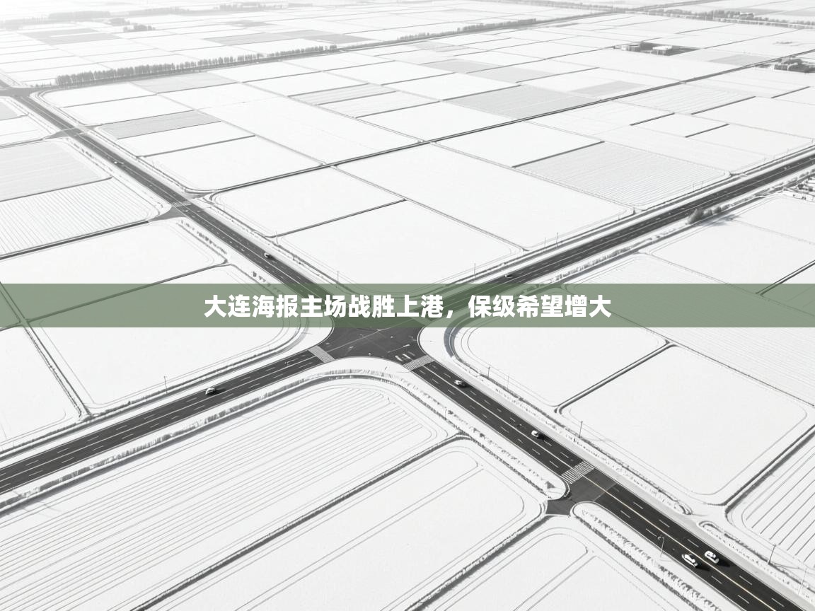 大连海报主场战胜上港，保级希望增大  第1张