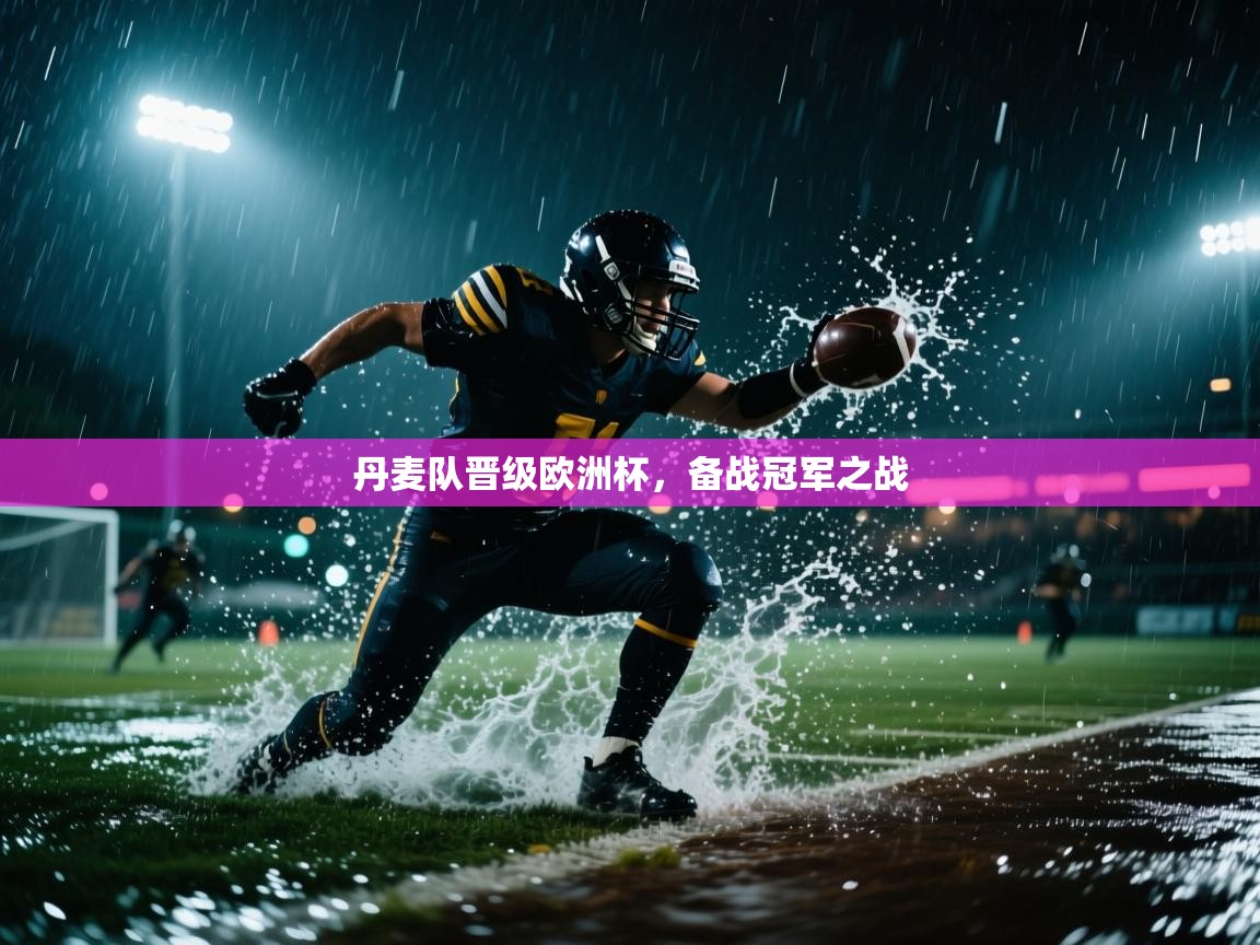 丹麦队晋级欧洲杯，备战冠军之战  第2张