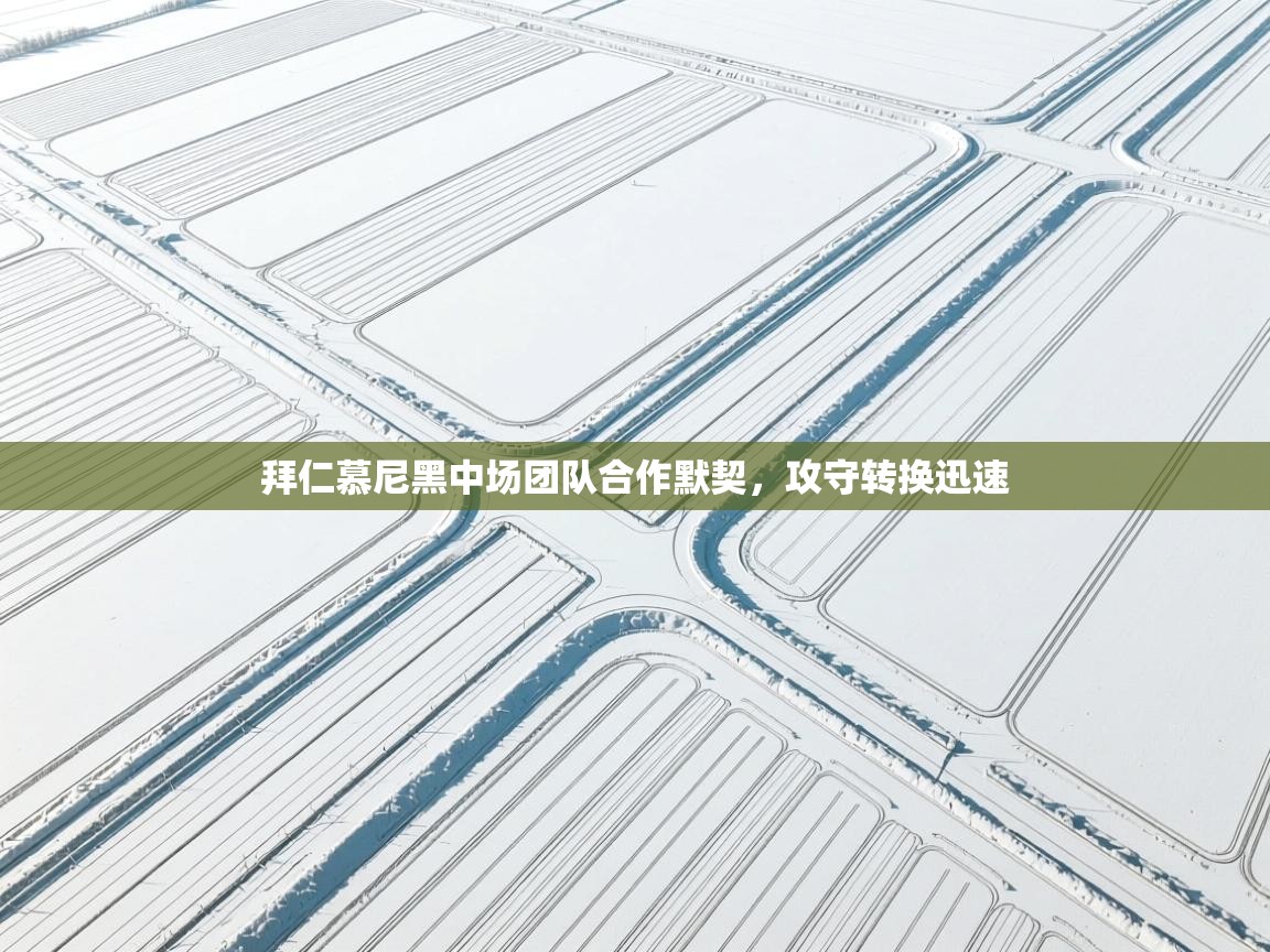 拜仁慕尼黑中场团队合作默契，攻守转换迅速  第2张