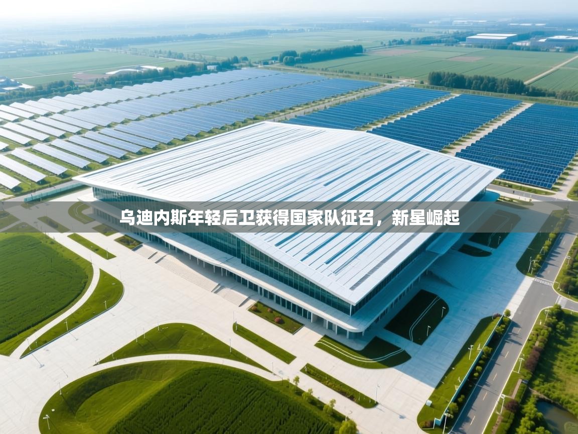 乌迪内斯年轻后卫获得国家队征召，新星崛起  第2张