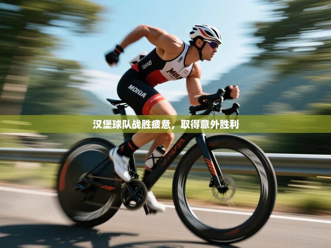 汉堡球队战胜疲惫，取得意外胜利  第1张