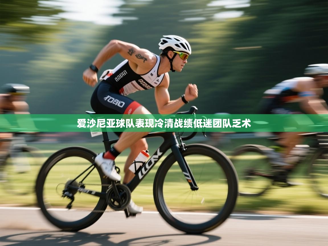 爱沙尼亚球队表现冷清战绩低迷团队乏术 第1张