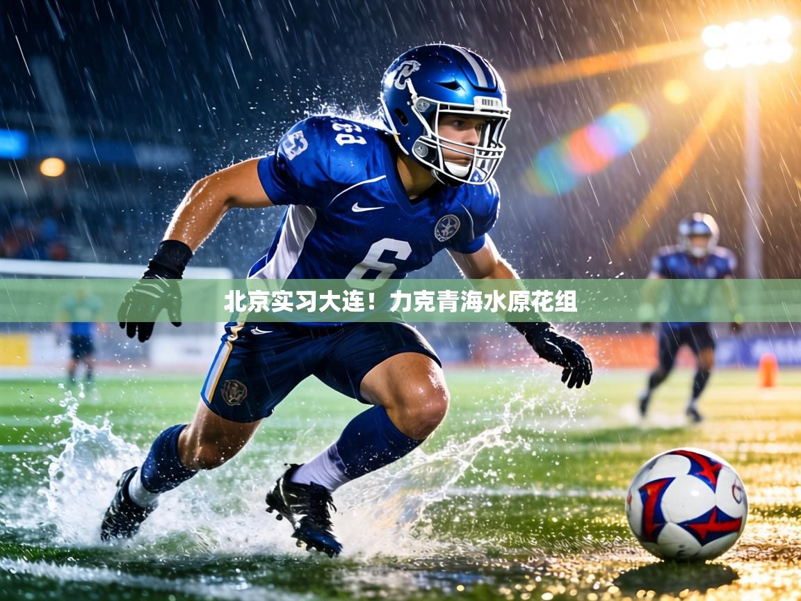 北京实习大连!力克青海水原花组 第2张